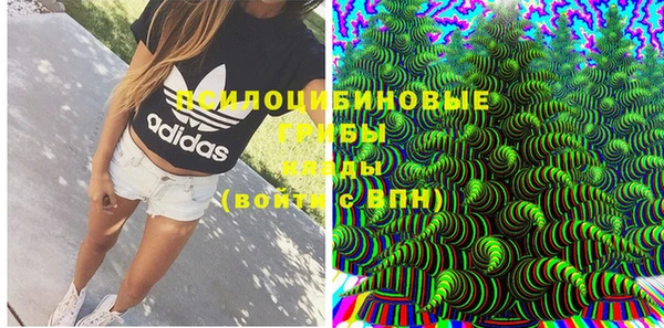 марки lsd Новозыбков