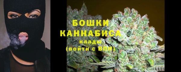 марки lsd Новозыбков