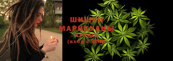 дживик Нея