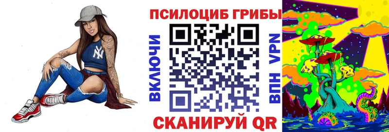 Купить закладки  Инта  Галлюциногенные грибы Psilocybe 